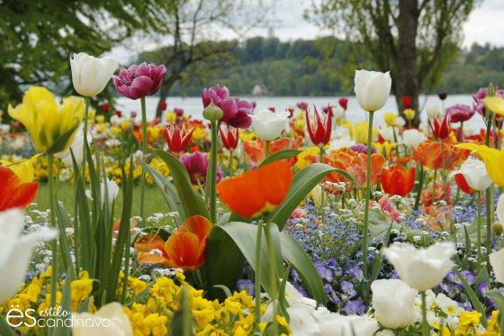 Mainau, La isla de las flores isla-de-las-flores02