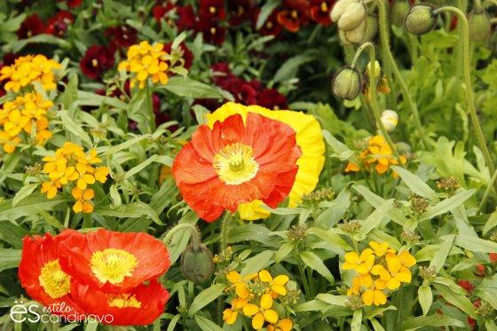 Mainau, La isla de las flores isla-de-las-flores03