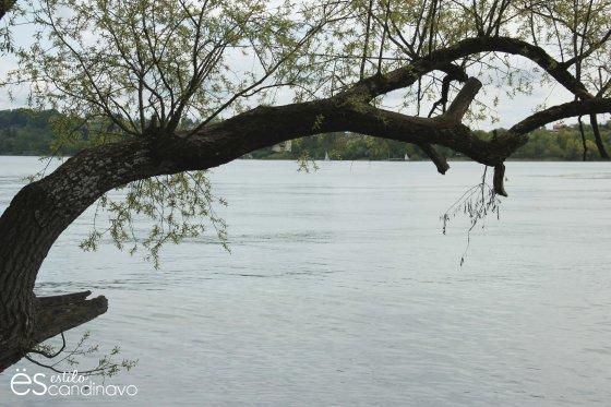 Mainau, La isla de las flores isla-de-las-flores04