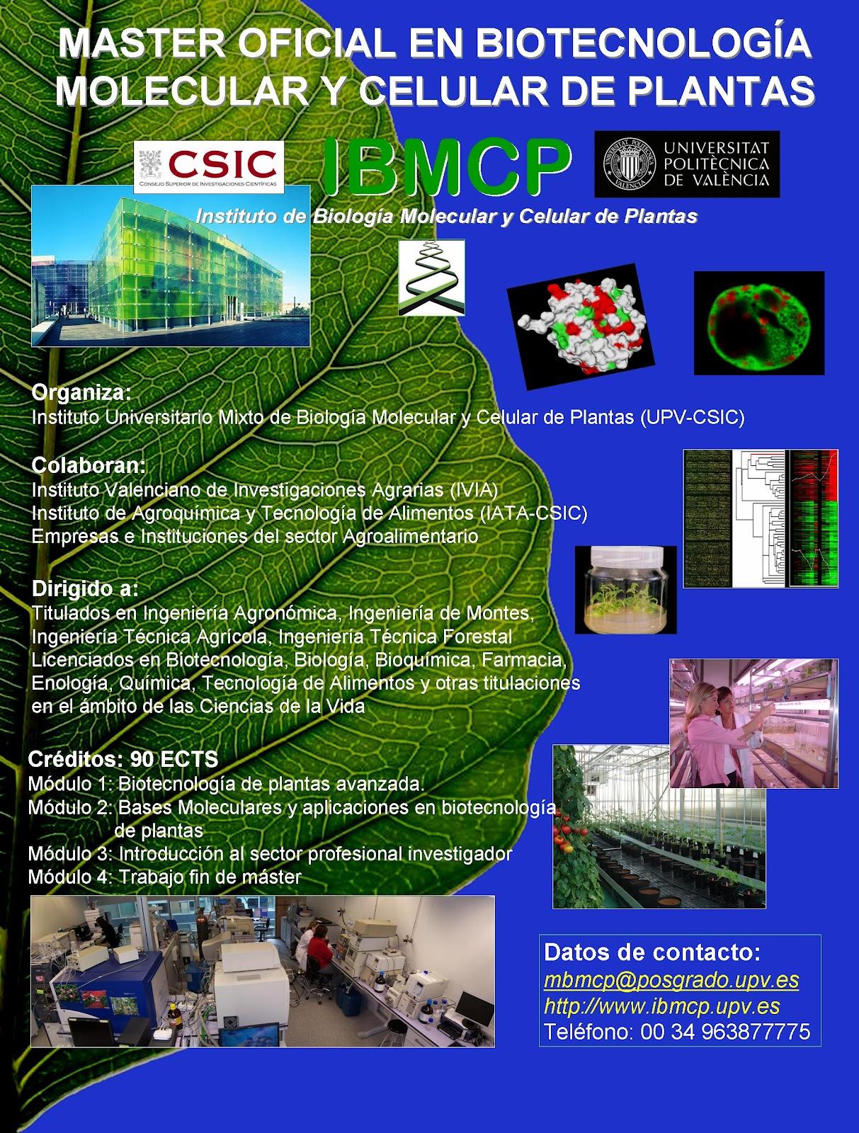Abierta la Preinscripción para el Máster en Biotecnología Molecular y Celular de Plantas.