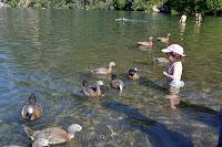 El corredor de los lagos y la experiencia de los turistas