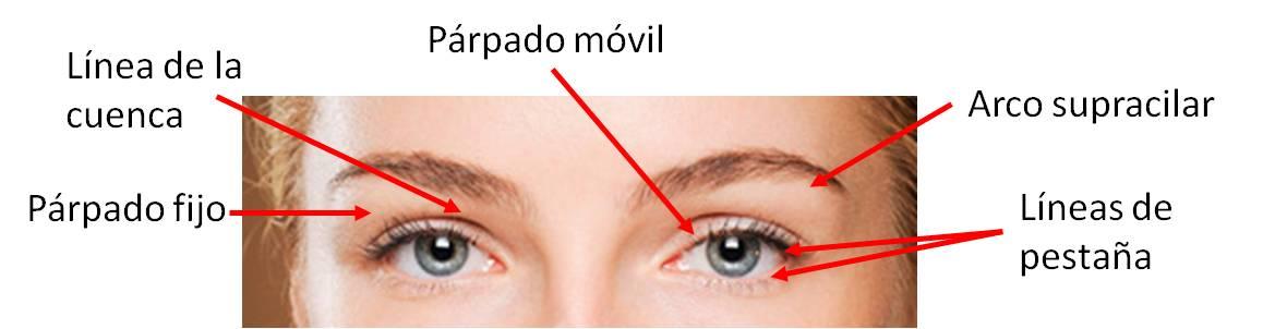 Zonas de los ojos Maquillaje de Ojos: Aprendiendo a Controlar el Volumen
