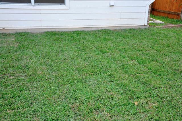 Proyectos, proyectos y más proyectos Proyectos, proyectos y más proyectos