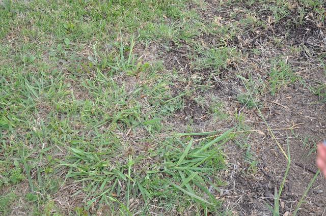 Proyectos, proyectos y más proyectos Proyectos, proyectos y más proyectos