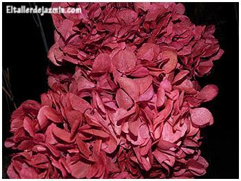 teñir hortensias - topiario teñir hortensias - topiario