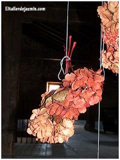 teñir hortensias - topiario teñir hortensias - topiario