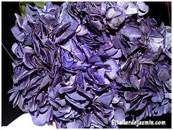 teñir hortensias - topiario teñir hortensias - topiario