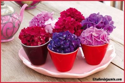 souvenirs con hortensias souvenirs con hortensias