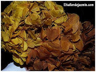 teñir hortensias - topiario teñir hortensias - topiario