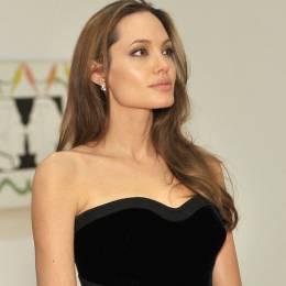 “Nadie hubiera notado por lo bien que quedó Angie”: Brad Pitt “Nadie hubiera notado por lo bien que quedó Angie”: Brad Pitt