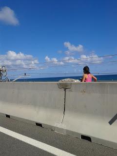 Entreno de 5km ... retando a mi padre y entreno nadando con Carlos Entreno de 5km ... retando a mi padre y entreno nadando con Carlos