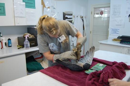 Volunturismo: una forma solidaria de viajar Volunturismo: una forma solidaria de viajar