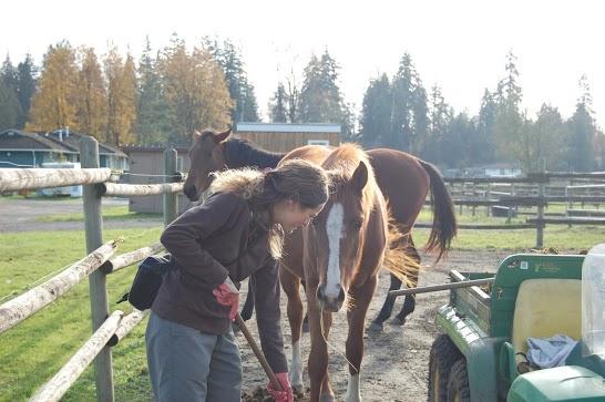 Volunturismo: una forma solidaria de viajar Volunturismo: una forma solidaria de viajar