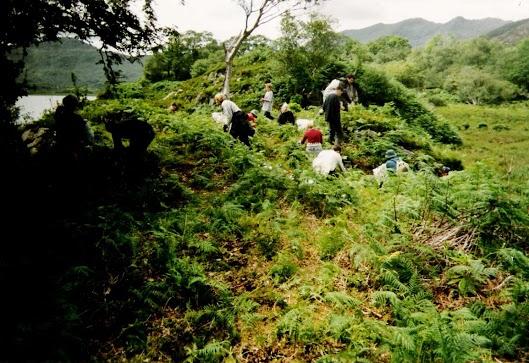 Volunturismo: una forma solidaria de viajar Volunturismo: una forma solidaria de viajar