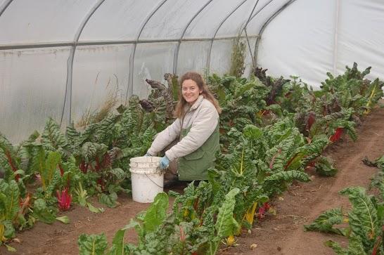 Volunturismo: una forma solidaria de viajar Volunturismo: una forma solidaria de viajar