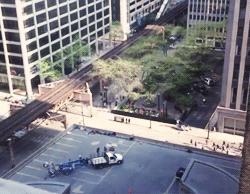 4 Gifs de la filmación de Divergente con intrépidos corriendo 4 Gifs de la filmación de Divergente con intrépidos corriendo