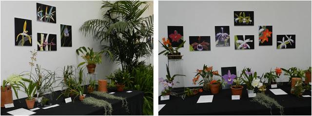 OrquiMadrid 2013. Parte I: La Exposición OrquiMadrid 2013. Parte I: La Exposición