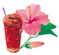 Flor de Hibiscus (del pacifico) o conocido como Agua de Jamaica  de mi blog favorito