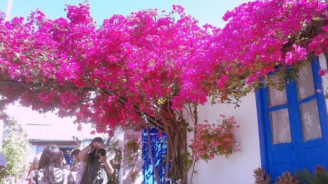 Mayo en Córdoba Mayo en Córdoba