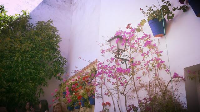 Mayo en Córdoba Mayo en Córdoba