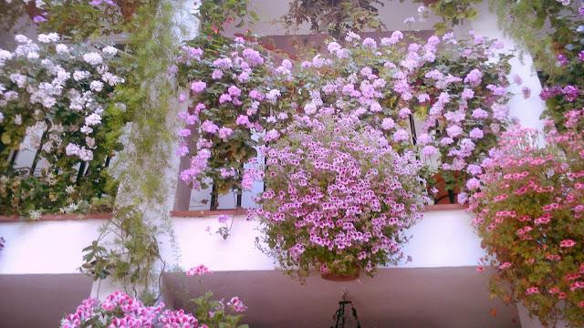 Mayo en Córdoba Mayo en Córdoba