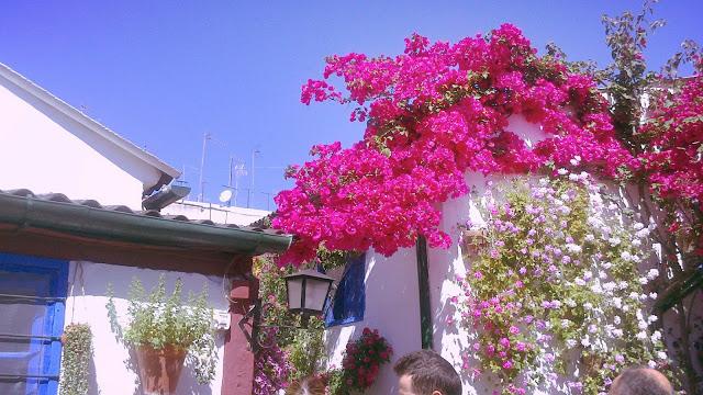 Mayo en Córdoba Mayo en Córdoba