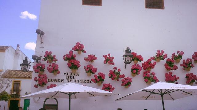 Mayo en Córdoba Mayo en Córdoba