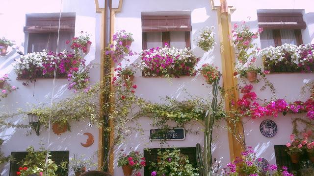 Mayo en Córdoba Mayo en Córdoba