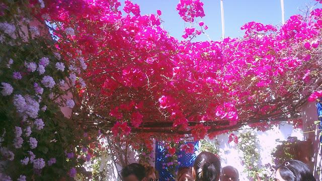 Mayo en Córdoba Mayo en Córdoba