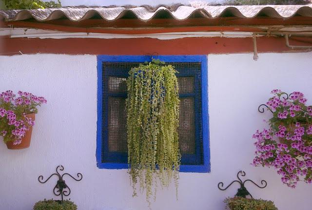 Mayo en Córdoba Mayo en Córdoba