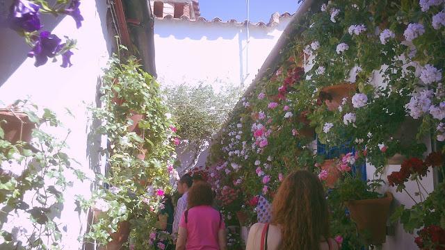 Mayo en Córdoba Mayo en Córdoba