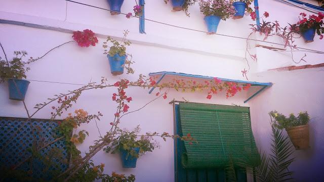 Mayo en Córdoba Mayo en Córdoba