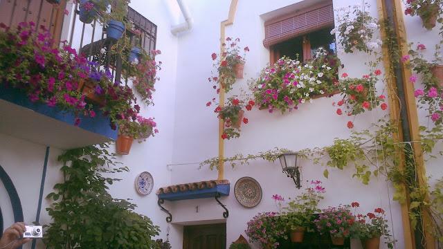 Mayo en Córdoba Mayo en Córdoba