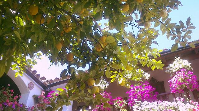 Mayo en Córdoba Mayo en Córdoba