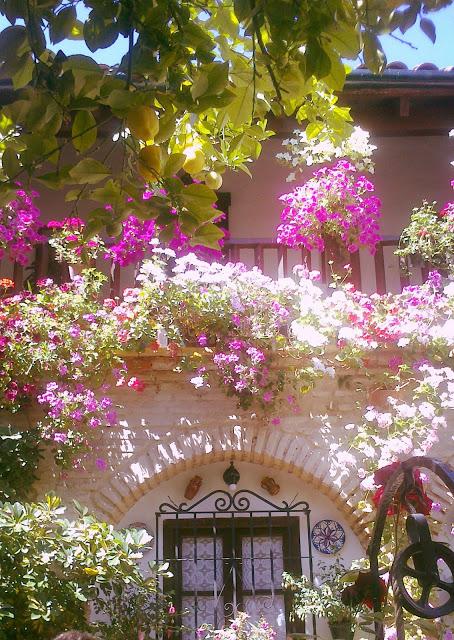 Mayo en Córdoba Mayo en Córdoba