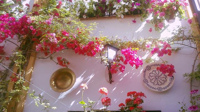 Mayo en Córdoba Mayo en Córdoba