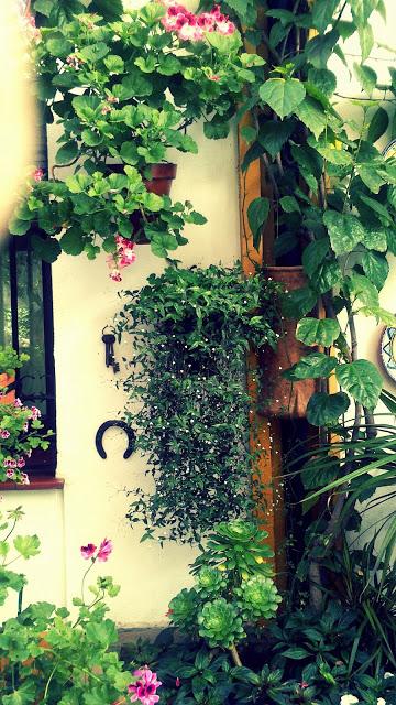 Mayo en Córdoba Mayo en Córdoba