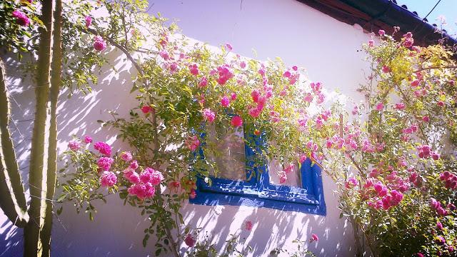 Mayo en Córdoba Mayo en Córdoba