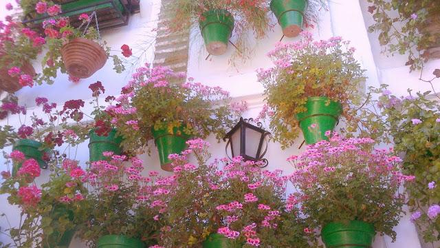 Mayo en Córdoba Mayo en Córdoba