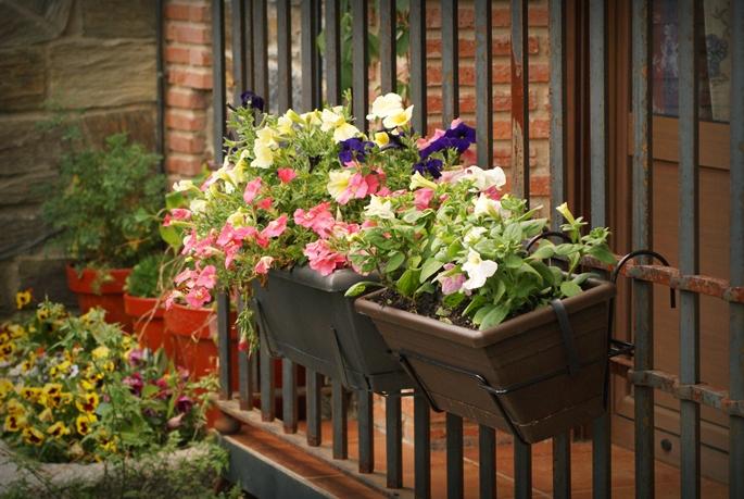 Rural weekend Rural weekend