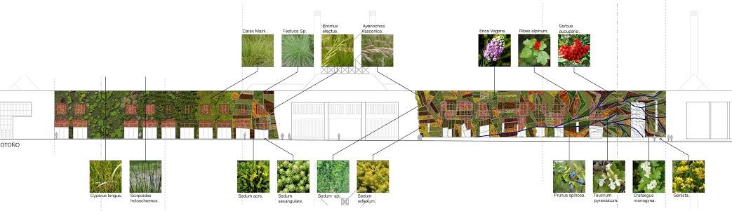 Fachada vegetal