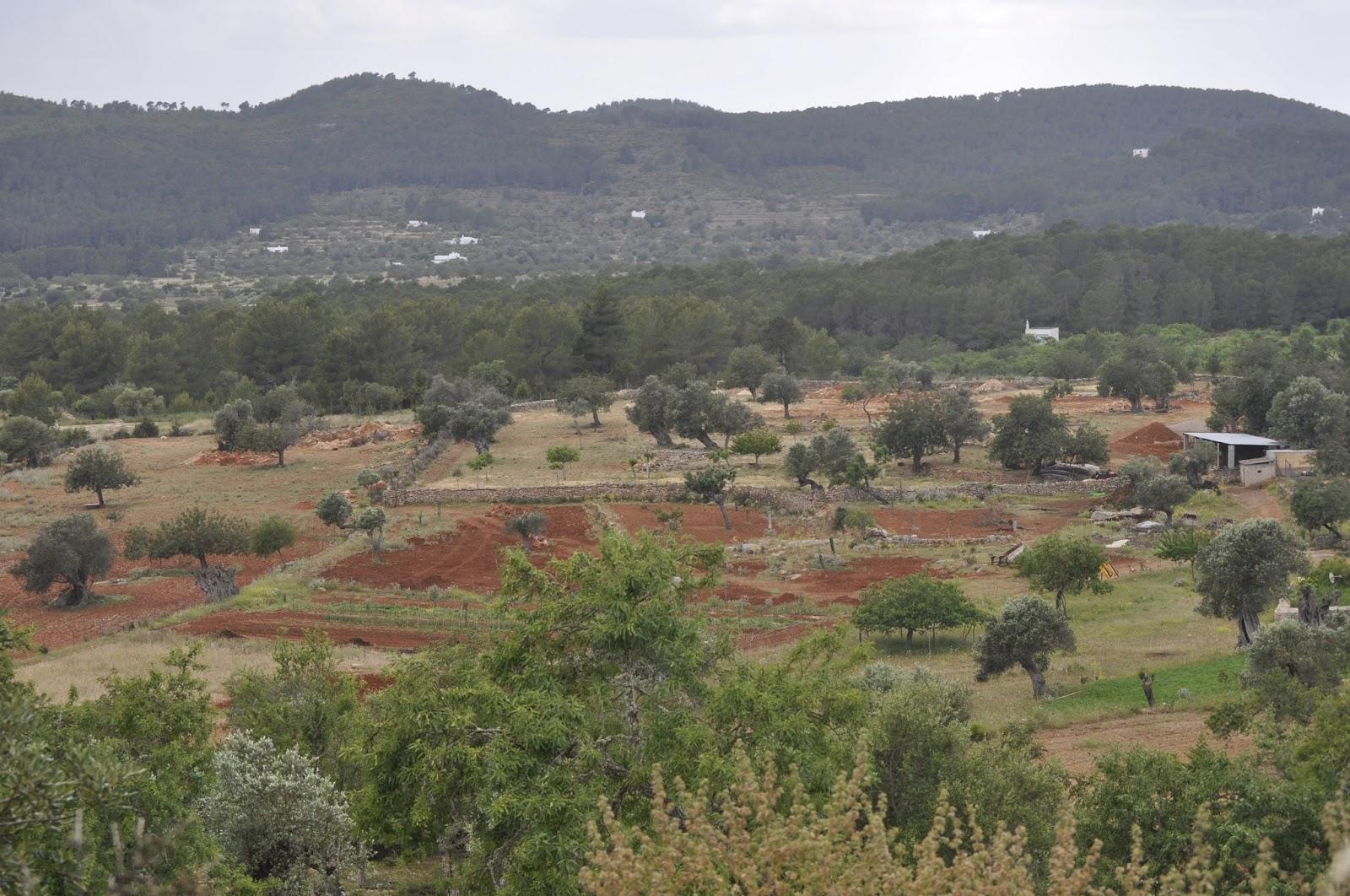 POSTALES DESDE IBIZA: RUTA POR EL CENTRO DE LA ISLA