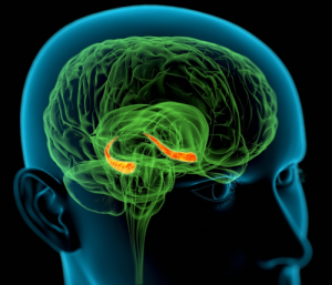 lo que recuerdes puede ser erroneo ifyoucanreme