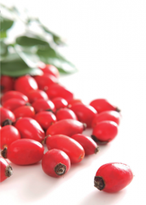 aceite de rosa mosqueta aceite de rosa mosqueta