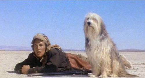 Cine con sabor a...Fallout ff aboyandhisdog Cine con sabor a...Fallout