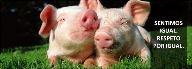 Dos conceptos de respeto: valor inherente y valor instrumental Dos conceptos de respeto: valor inherente y valor instrumental