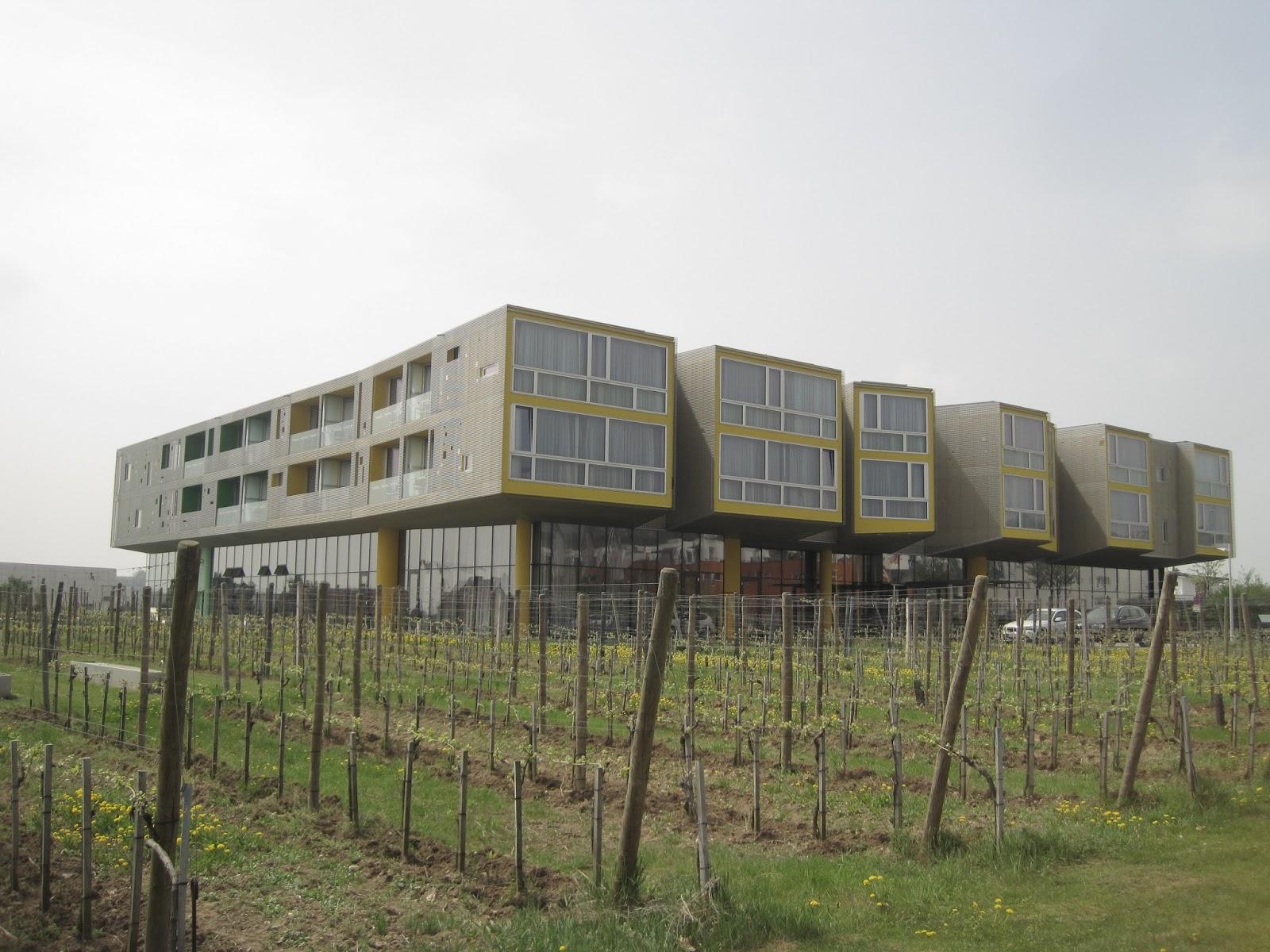 Between grapes_ Winery Steven Holl in Langenlois, Niederösterreich