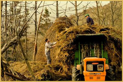 Viajeros del tiempo:
