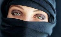 Burka y niqab NO,  hijab y chador SÍ