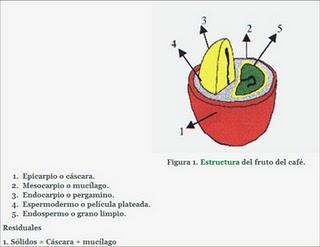 Notas de las ponencias